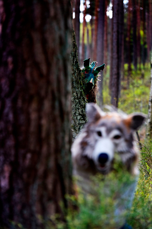 Wolf und Drache - Foto: Babette Brandenburg, Hamburg